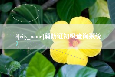 恩施消防证初级查询系统