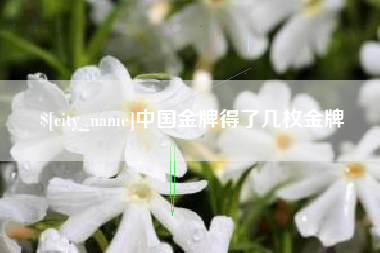 恩施中国金牌得了几枚金牌