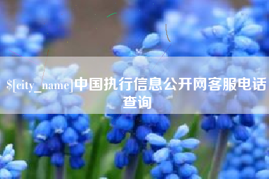 恩施中国执行信息公开网客服电话查询