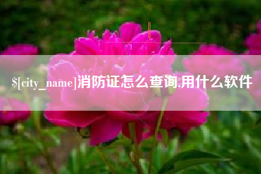 恩施消防证怎么查询,用什么软件