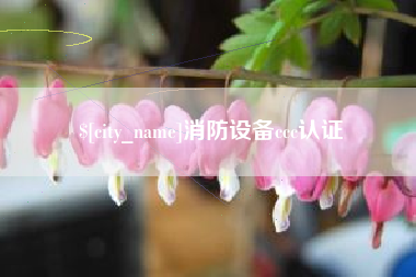 恩施消防设备ccc认证