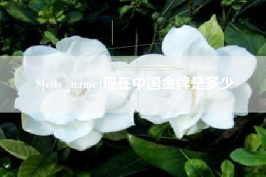 恩施现在中国金牌是多少