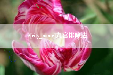 恩施九宫排除法