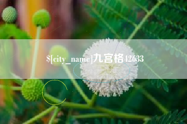 恩施九宫格42633