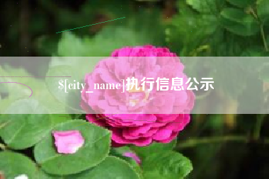 恩施执行信息公示