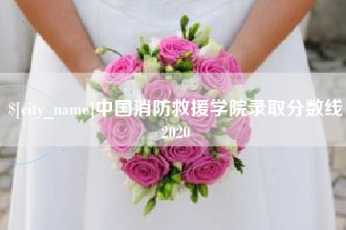 恩施中国消防救援学院录取分数线2020