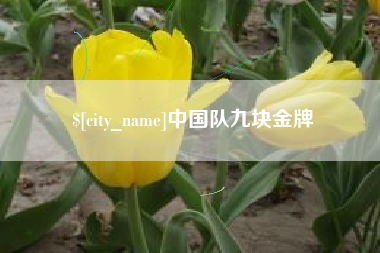 恩施中国队九块金牌