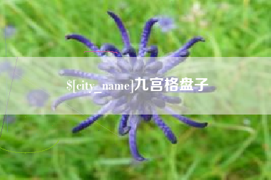 恩施九宫格盘子 恩施九宫格盘子