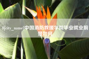 恩施中国消防救援学院毕业就业前景如何