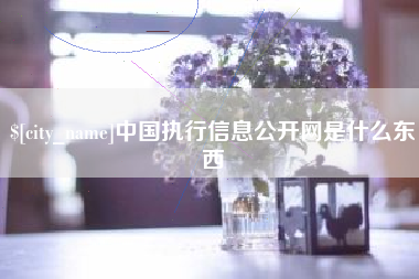 恩施中国执行信息公开网是什么东西