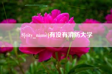 恩施有没有消防大学
