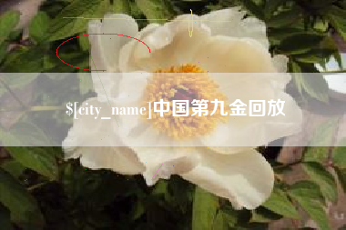 恩施中国第九金回放