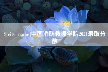 恩施中国消防救援学院2021录取分数