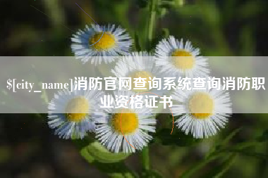 恩施消防官网查询系统查询消防职业资格证书