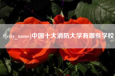 恩施中国十大消防大学有哪些学校
