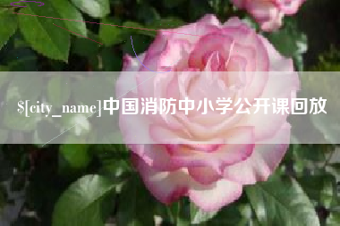 恩施中国消防中小学公开课回放