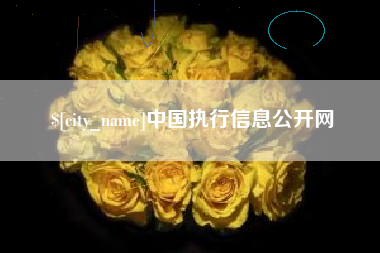 恩施中国执行信息公开网