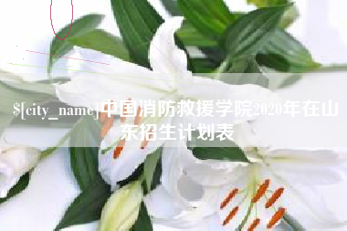 恩施中国消防救援学院2020年在山东招生计划表