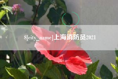 恩施上海消防员2021