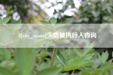 恩施失信被执行人杳询