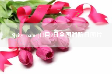 恩施11月9日全国消防日图片