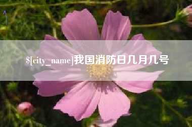 恩施我国消防日几月几号
