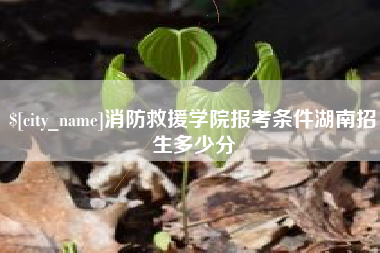 恩施消防救援学院报考条件湖南招生多少分