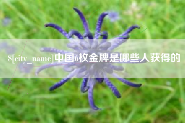 恩施中国6枚金牌是哪些人获得的