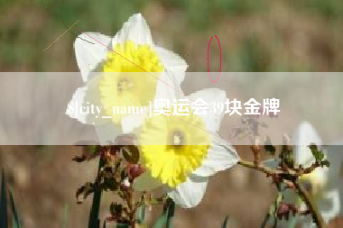恩施奥运会39块金牌