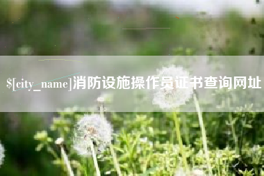 恩施消防设施操作员证书查询网址