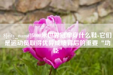 恩施5000米世界冠军穿什么鞋-它们是运动员取得优异成绩背后的重要“功臣”