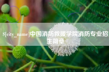恩施中国消防救援学院消防专业招生简章