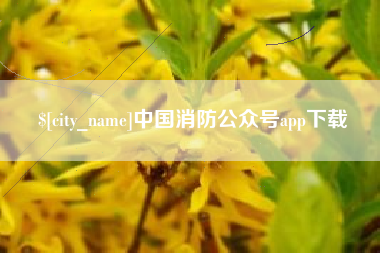 恩施中国消防公众号app下载