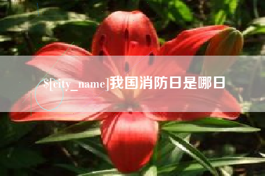 恩施我国消防日是哪日