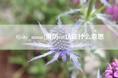 恩施消防ccc认证什么意思
