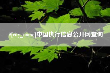 恩施中国执行信息公开网查询