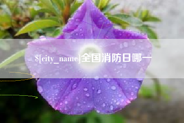 恩施全国消防日哪一