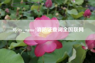 恩施消防证查询全国联网
