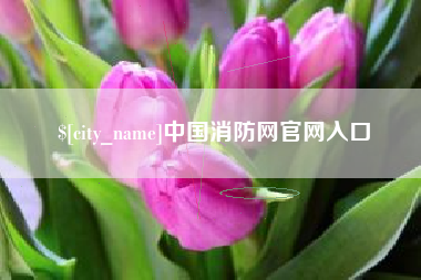 恩施中国消防网官网入口