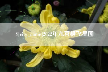 恩施2022年九宫格飞星图