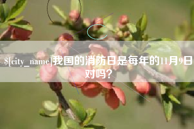 恩施我国的消防日是每年的11月9日对吗？