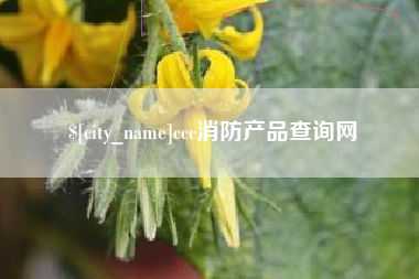 恩施ccc消防产品查询网