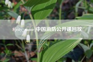 恩施中国消防公开课回放