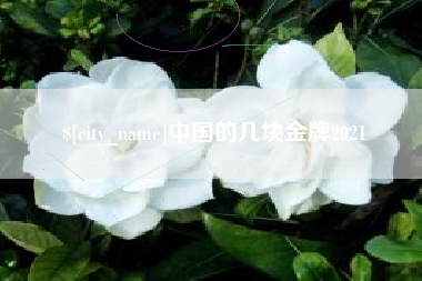 恩施中国的几块金牌2021