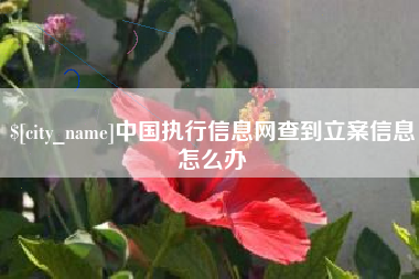 恩施中国执行信息网查到立案信息怎么办