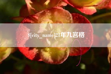 恩施21年九宫格