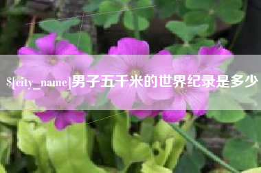 恩施男子五千米的世界纪录是多少