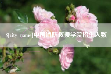 恩施中国消防救援学院招生人数