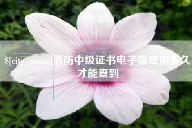 恩施消防中级证书电子版查询多久才能查到