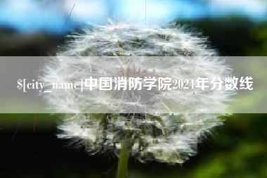 恩施中国消防学院2024年分数线